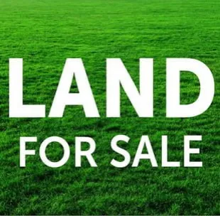 Land-for-sale-color-writen